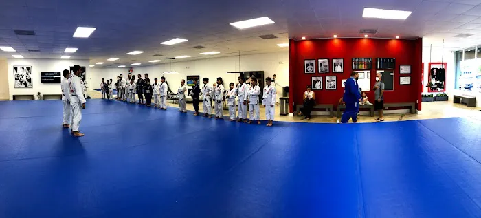 Gracie Barra Aventura Brazilian Jiu Jitsu & Self Defense Picture 10