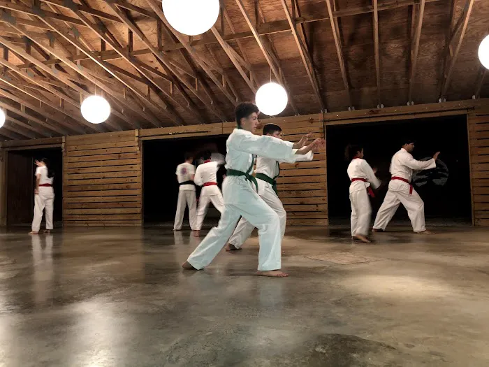 Tang Soo Do Karate Inc. Picture 2