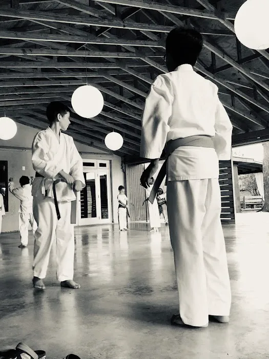 Tang Soo Do Karate Inc. Picture 1