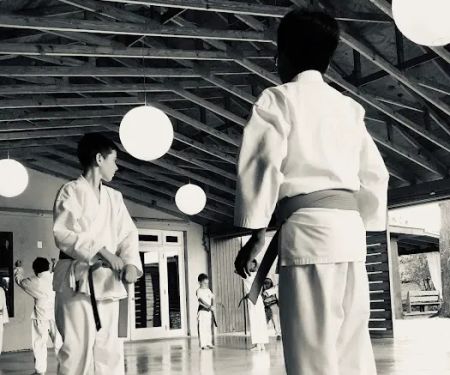 Tang Soo Do Karate Inc.