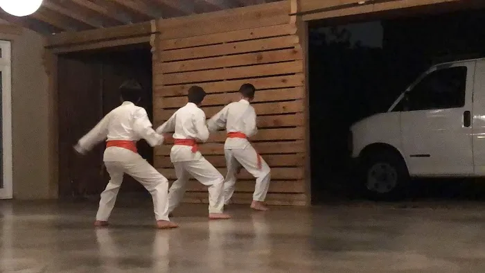 Tang Soo Do Karate Inc. Picture 3