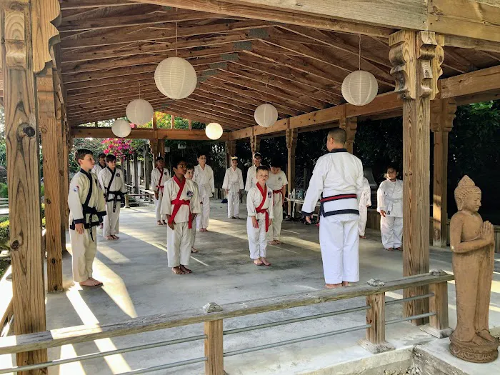 Tang Soo Do Karate Inc. Picture 4