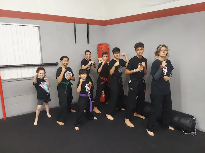RONIN Martial Arts Picture 5