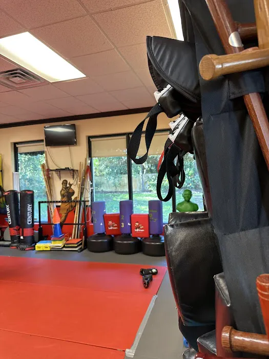 Boca Delray Karate Club Picture 4