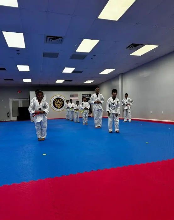 Tiger Kwon's Martial Arts INC Picture 2