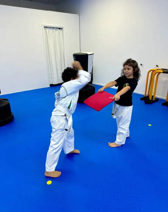 Tiger Kwon's Martial Arts INC Picture 7