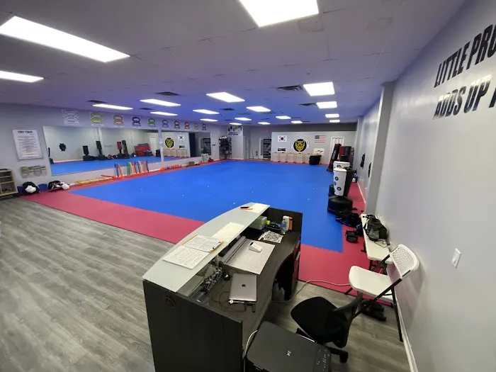 Tiger Kwon's Martial Arts INC Picture 8