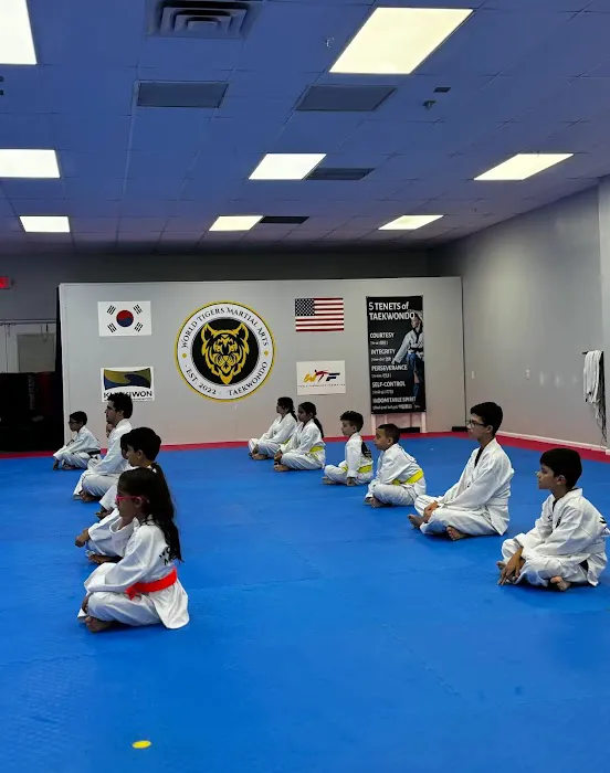 Tiger Kwon's Martial Arts INC Picture 6