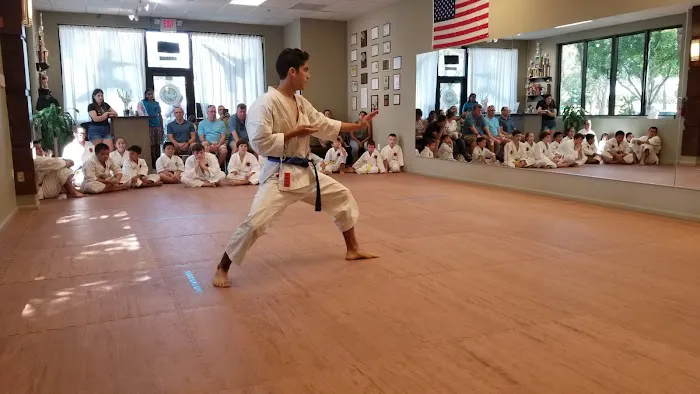 Shotokan Karate-Do Academy Picture 2