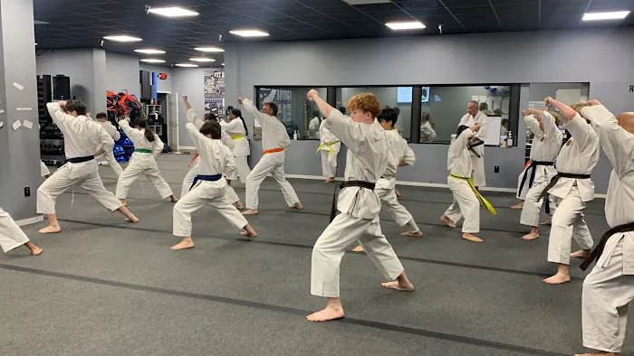Shotokan Karate-Do Academy Picture 7