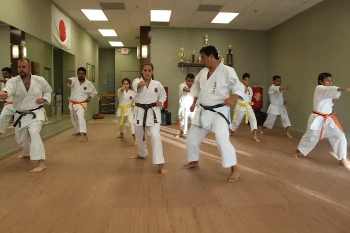 Shotokan Karate-Do Academy Picture 10