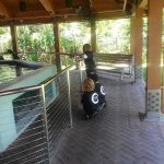 Raise Leaders Martial Arts