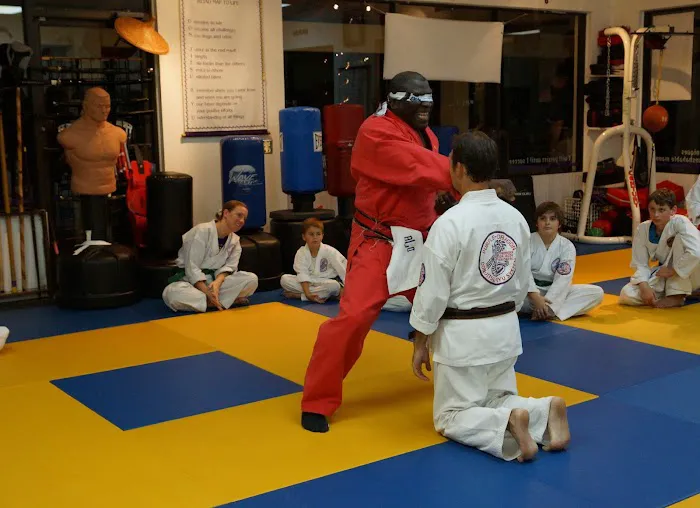 Purple Dragon Karate Picture 1