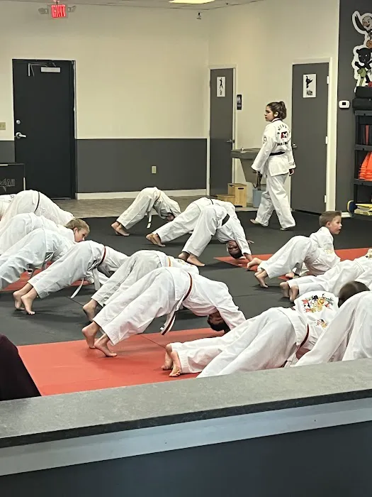 Elevate Martial Arts Picture 1
