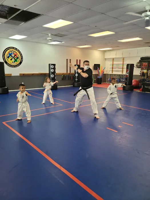 Elevate Martial Arts Picture 2