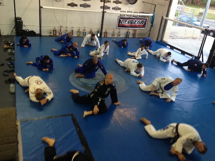 Hands Down Martial Arts Picture 1