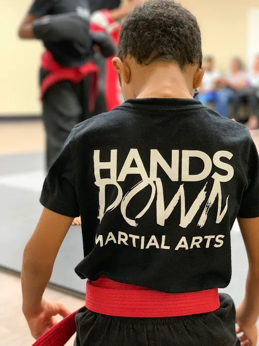 Hands Down Martial Arts Picture 10