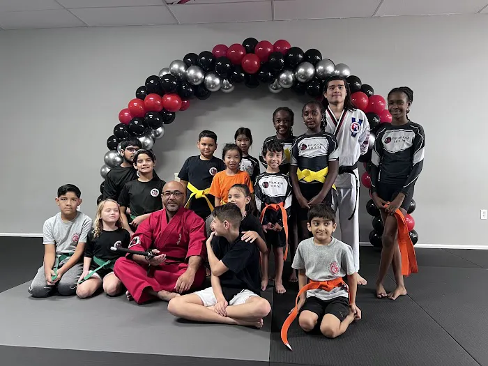 Dragon House Defense and Fitness Picture 1