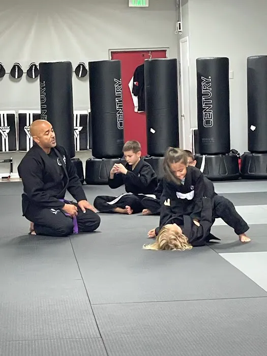 Dragon House Defense and Fitness Picture 4