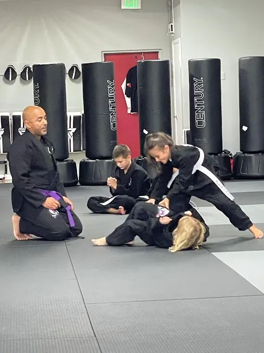 Dragon House Defense and Fitness Picture 5