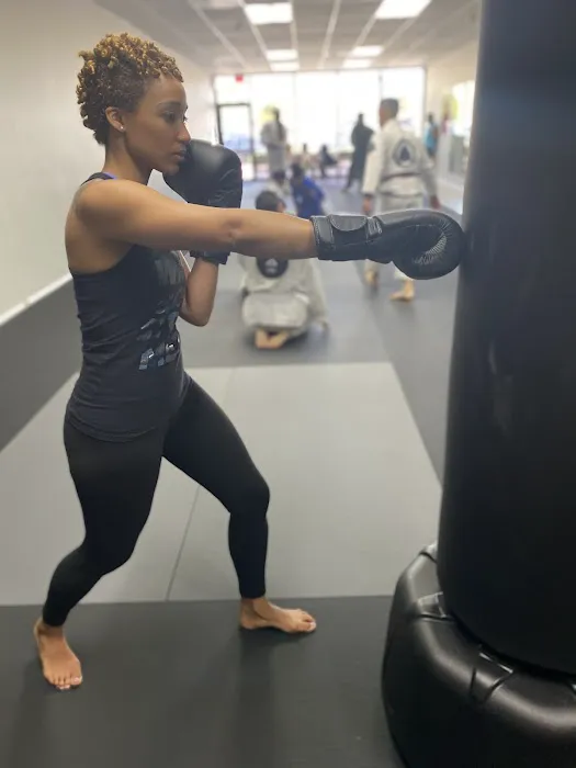 Dragon House Defense and Fitness Picture 8