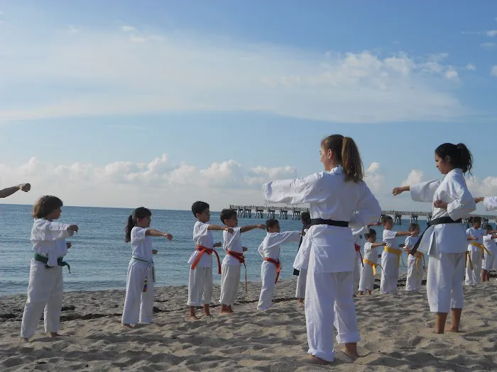 Palm Beach Karate School Picture 7