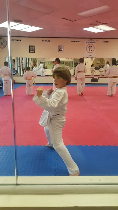 Palm Beach Karate School Picture 3