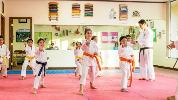 Palm Beach Karate School Picture 2