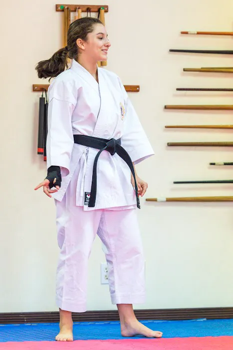 Palm Beach Karate School Picture 10