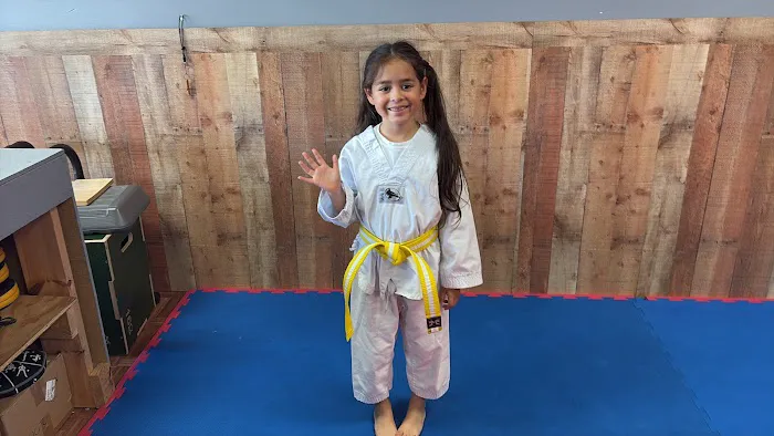 Palm Beach Taekwondo Center Picture 7