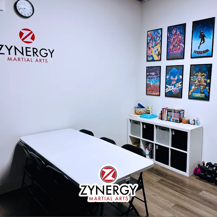 Zynergy Martial Arts West Palm Beach Picture 10