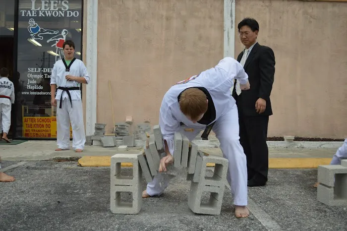 Lee's Tae Kwon Do Academy Picture 9