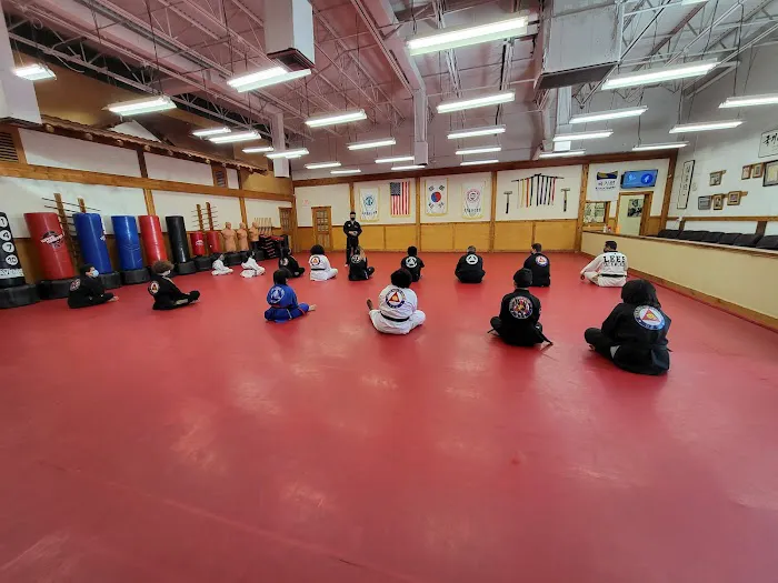 Lee's Tae Kwon Do Academy Picture 8
