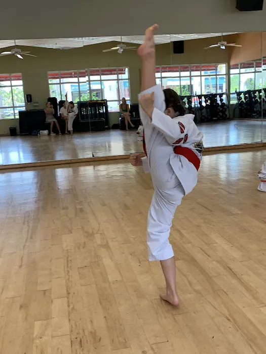 My Traveling Dojo Picture 1