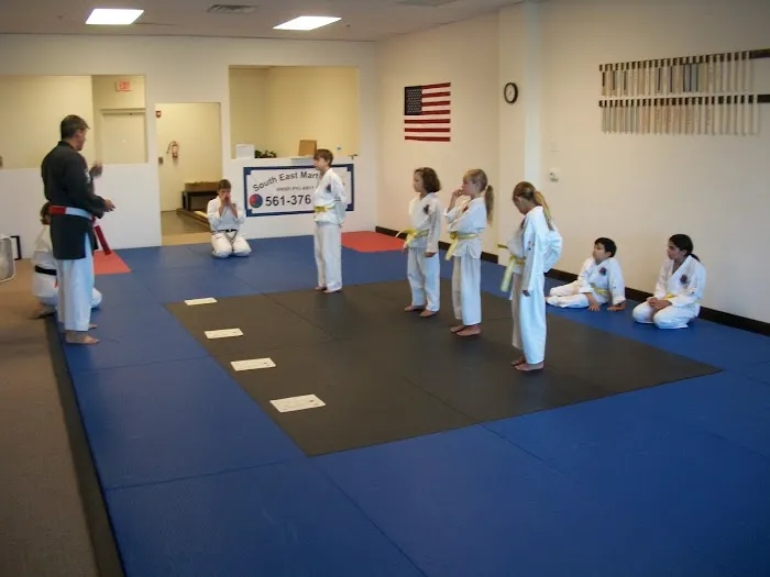 Southeast Martial Arts Academy Picture 8