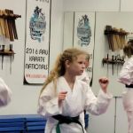 Florida Karate Academy