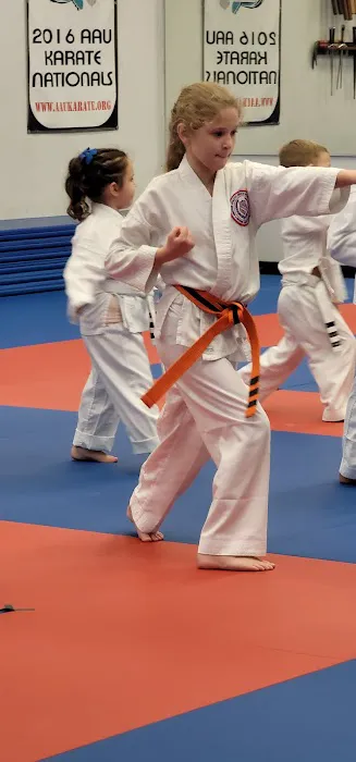 Florida Karate Academy Picture 4