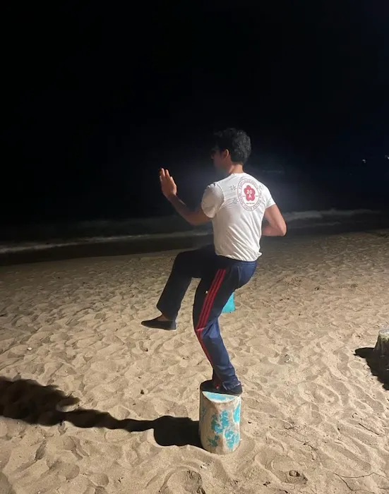 Moy Yee Hop Ving Tsun ( Wing Chun ) Kung Fu of Vero Beach, Martial Arts & Self Defense Picture 1