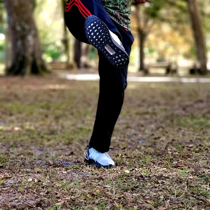 Moy Yee Hop Ving Tsun ( Wing Chun ) Kung Fu of Vero Beach, Martial Arts & Self Defense Picture 9