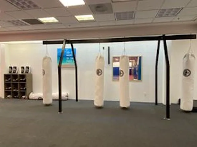 RT Martial Arts Academy HQ Picture 3