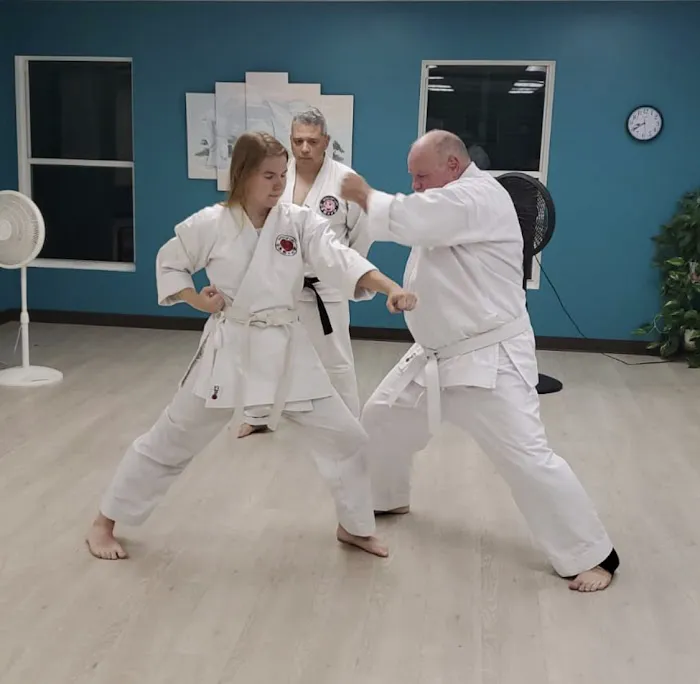 Shotokan FL: Way of Life Shotokan Karate of Florida Picture 3