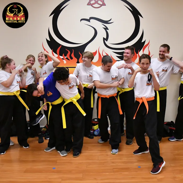 Elite Martial Arts Picture 9