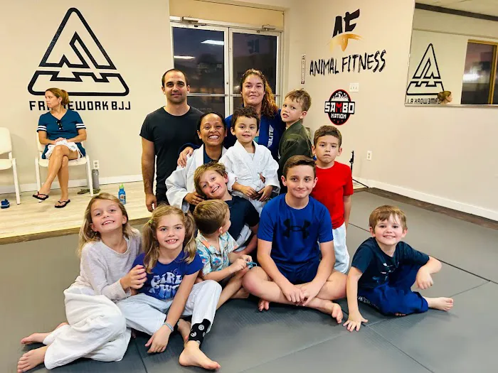 Framework BJJ Picture 4