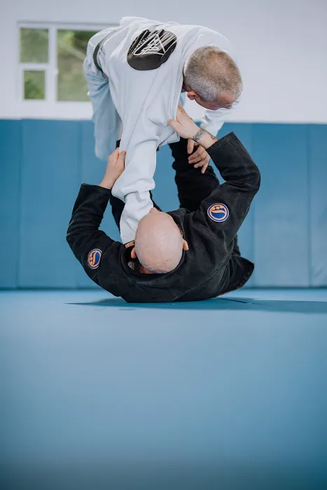 Framework BJJ Picture 7