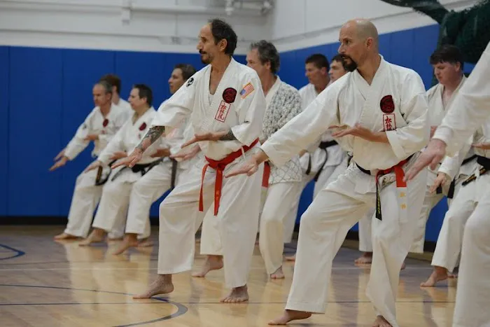 Viera Ueshiro Shorin-Ryu Karate Dojo Picture 1