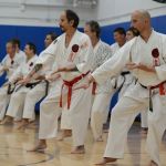 Viera Ueshiro Shorin-Ryu Karate Dojo