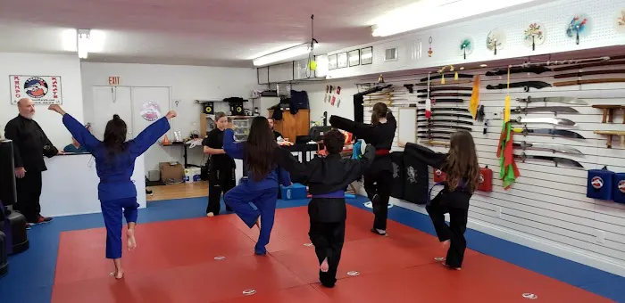 Kenpo/Arnis Picture 3