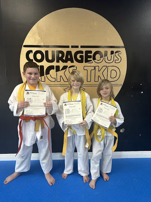 Courageous Kicks Taekwondo Picture 1