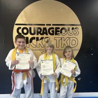Courageous Kicks Taekwondo ico