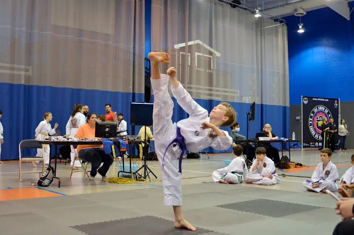 Courageous Kicks Taekwondo Picture 7